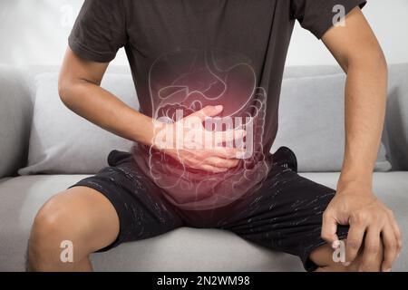 Die Darstellung der inneren Organe ist auf dem menschlichen Körper. Stockfoto