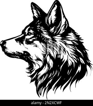 Tierwolf, wilde Tiere, handgezeichnete Vektorzeichnungen. Stock Vektor
