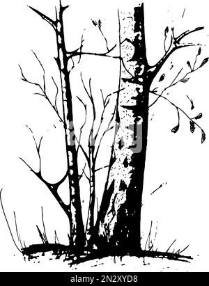 schwarzer Baum Silhouette isoliert auf weißem Hintergrund, Vektor Stock Vektor