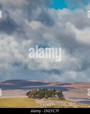 Das berühmte Wahrzeichen von Teesdale erstrahlt im Frühling unter einem dramatischen Himmel Stockfoto