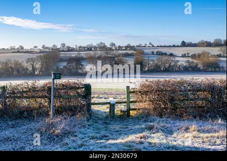 Frostiger Morgen auf einem Fußweg in der landschaft von oxfordshire. Oxfordshire, England Stockfoto