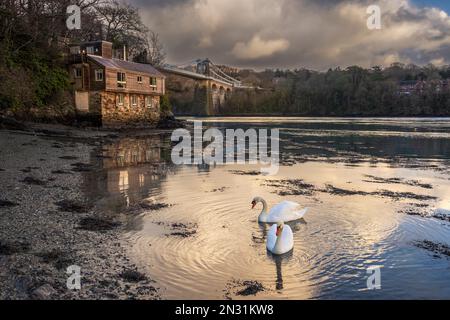 Die Menai-Straße und die Telford-Brücke von der belgischen Promenade im Winter, Anglesey, Nordwales Stockfoto