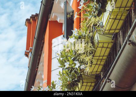 Burano Venedig Landschaft Wunderschöne Straßen Stockfoto