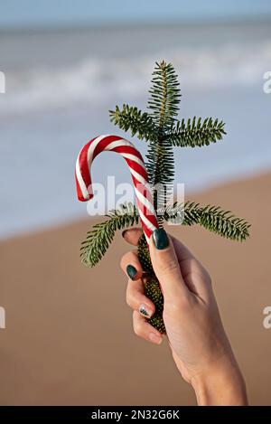 Weihnachtlicher Zuckerrohr- und Tannenzweig in den Händen am Hintergrund des Strandes. Stockfoto