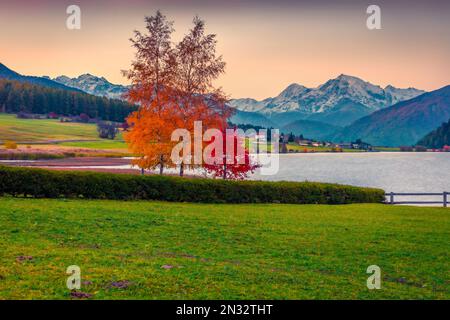 Ruhige Herbstlandschaft. Beeindruckender Sonnenaufgang im Herbst auf den Haidersee (Lago della Muta) mit Ortler-Gipfel im Hintergrund. Herrliche Morgenszene von Ital Stockfoto