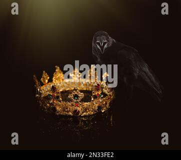 Fantasiewelt. Schwarze Krähe, beleuchtet von magischem Licht, das auf der goldenen Krone sitzt Stockfoto