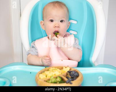 Baby isst Brokkoli. Säuglingsprothetik. Entwöhnung. Gesunde Ernährung. Kaukasisches Mädchen, das in einem Hochstuhl sitzt und ihr Mittagessen isst Stockfoto