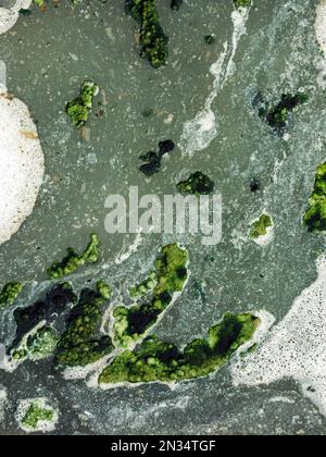 Ansicht von oben: Abwasser mit Luftblasen und Moos, das durch einen gerissenen Graben fließt. Sauerstoffblase in der Schmutzwasseraufbereitung in einem wassergefüllten Graben Stockfoto