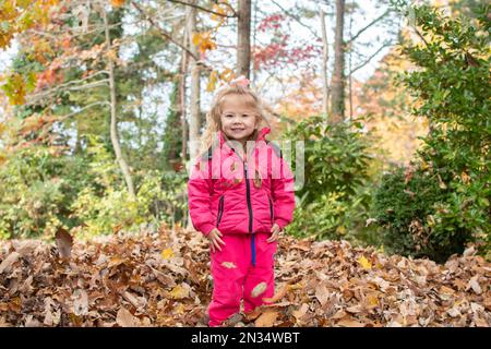 Das süße, kaukasische, glückliche Kleinkind spielt in gefallenen Blättern auf dem Hinterhof und genießt die Herbstsaison Stockfoto