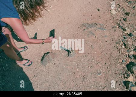 Detail einer jungen Frau, die ein Eichhörnchen mit der Hand füttert, während sie ein Foto mit ihrem Mobiltelefon in Fuerteventura macht. Natürliche Ressourcen der Kanarischen Inseln.