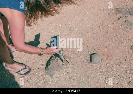 Detail einer jungen Frau, die ein Eichhörnchen mit der Hand füttert, während sie ein Foto mit ihrem Mobiltelefon in Fuerteventura macht. Natürliche Ressourcen der Kanarischen Inseln.