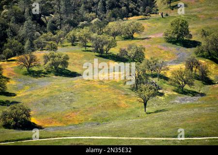 Aerials of Fort Hunter Liggett, Kalifornien und Umgebung, 10. April 2019. Stockfoto