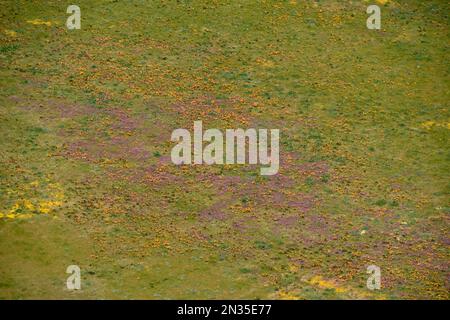 Aerials of Fort Hunter Liggett, Kalifornien und Umgebung, 10. April 2019. Stockfoto