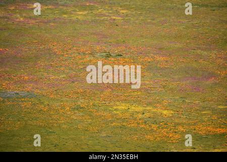 Aerials of Fort Hunter Liggett, Kalifornien und Umgebung, 10. April 2019. Stockfoto