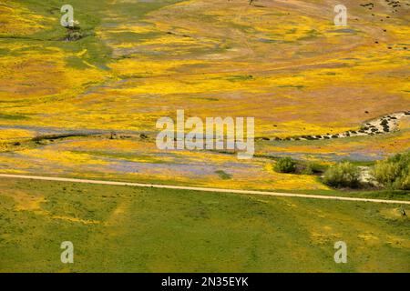 Aerials of Fort Hunter Liggett, Kalifornien und Umgebung, 10. April 2019. Stockfoto