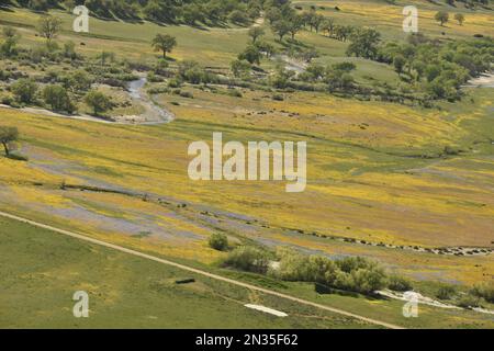 Aerials of Fort Hunter Liggett, Kalifornien und Umgebung, 10. April 2019. Stockfoto