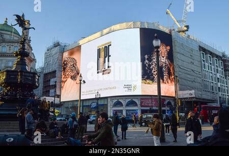 London, England, Großbritannien. 7. Februar 2023. Die Kampagne zum Arabischen Leopardentag wird auf den berühmten Piccadilly Lights im Piccadilly Circus gezeigt. Der Arabische Leopardentag findet am 10. Februar statt und ist eine Kampagne Saudi-Arabiens und der Königlichen Kommission für Alula (RCU), die die Notlage des arabischen Leoparden und die Initiativen zur Rettung der Arten beleuchtet. (Kreditbild: © Vuk Valcic/ZUMA Press Wire) NUR REDAKTIONELLE VERWENDUNG! Nicht für den kommerziellen GEBRAUCH! Stockfoto