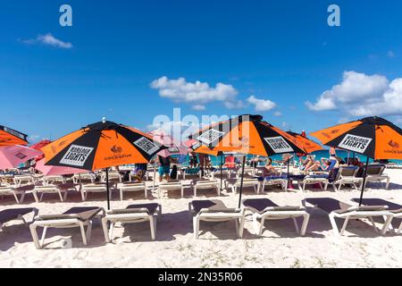 Liegestühle des Harbour Lights Beach Club am Bayshore Beach, Carlisle Bay, Bridgetown, St Michael Parish, Barbados, Kleine Antillen, Karibik Stockfoto