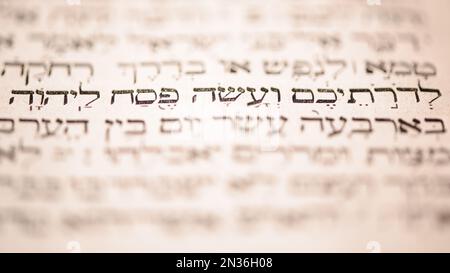 Seite des alten, abgenutzten, schäbigen jüdischen Buches Torah. Selektiver Fokus auf hebräischer Bibeltext: Das Pessachopfer Jehovas anbieten Stockfoto