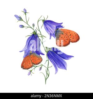 Aquarelle Kupferschmetterlinge auf wilden Blüten campanula isoliert auf weißem Hintergrund. Perfekt für Vorlagen, Tapeten, Drucken, Textilien, Banner Stockfoto