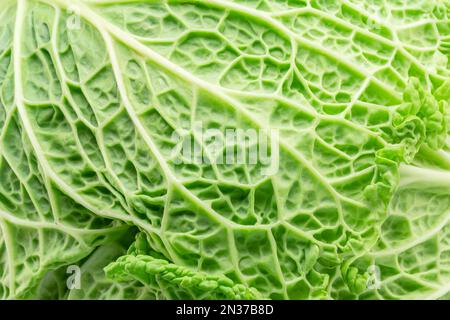 Konsistenz der frischen grünen wirsing-Blätter-Naht. Stockfoto