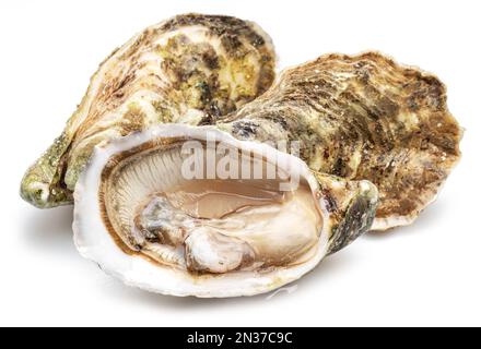 Offene und geschlossene rohe Austern, isoliert auf weißem Hintergrund. Delikatessen. Stockfoto