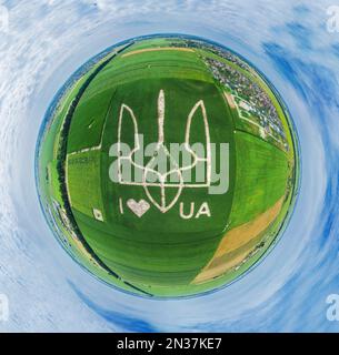 Das riesige Symbol des Landes Ukraine ist ein Dreizack, der von Maiskeimen in einem Maisfeld geschaffen wird. Blick von oben. Stilisierung für den Planeten Erde. 05,08. Stockfoto