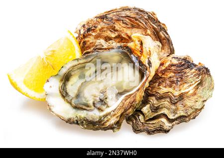 Offene und geschlossene rohe Austern, isoliert auf weißem Hintergrund. Delikatessen. Stockfoto