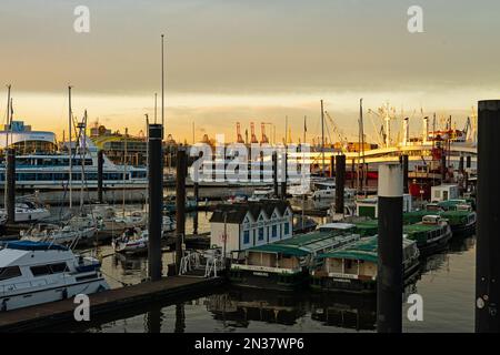 Blick über den Hamburger Hafen am Morgen Stockfoto