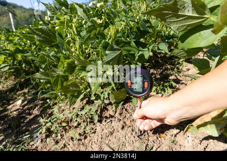 Messung von Temperatur, Feuchtigkeitsgehalt des Bodens, Umgebungsfeuchtigkeit und Beleuchtung im Gemüsegarten Stockfoto