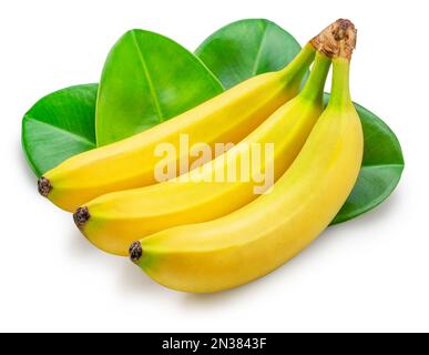 Bananenbündel und grüne Bananenblätter isoliert auf weißem Hintergrund. Stockfoto