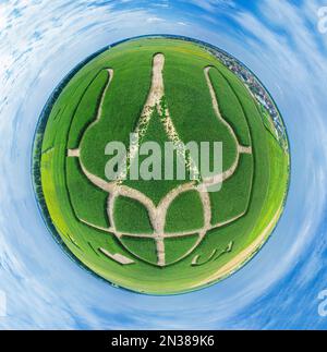 Das riesige Symbol des Landes Ukraine ist ein Dreizack, der von Maiskeimen in einem Maisfeld geschaffen wird. Blick von oben. Stilisierung für den Planeten Erde. 05,08. Stockfoto