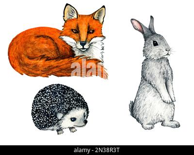 Aquarelle wilde Waldtiere mit Fußabdrücken. Illustrationsfuchs, Igel, Hasen, Kaninchen für Kinder Design. Stockfoto