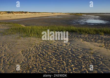 Erste Begegnung Strand, Eastham, Cape Cod, Massachusetts, USA Stockfoto