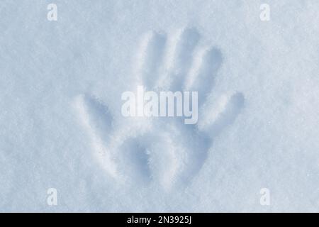 Palmendruck auf Schneeverwehungen an einem sonnigen Wintertag, Nahaufnahme, Draufsicht Stockfoto