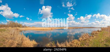 Gelbes Strauchholz und Schilf in der Nähe des blauen Wassers des Sees unter dem blauen Himmel mit Wolken, der Fluss Guiva in Andrushivka, Ukraine Stockfoto
