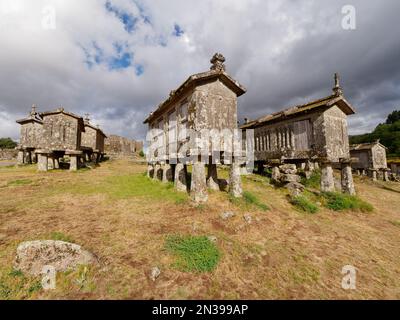 Lindoso-Kornhölzer oder Espigueiros de Lindoso in Portugal. Diese schmalen Steinkörner werden seit Hunderten von Jahren zum Lagern und Trocknen von Getreide verwendet. Stockfoto