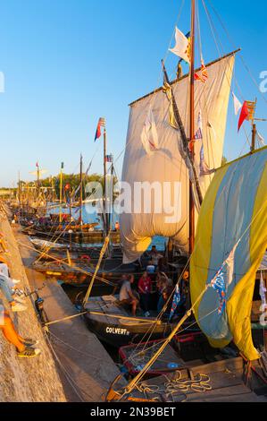 Frankreich, Loiret (45), Orléans, Loire Festival 2019, traditionelle Flachbodenboote am Ufer der Loire Stockfoto