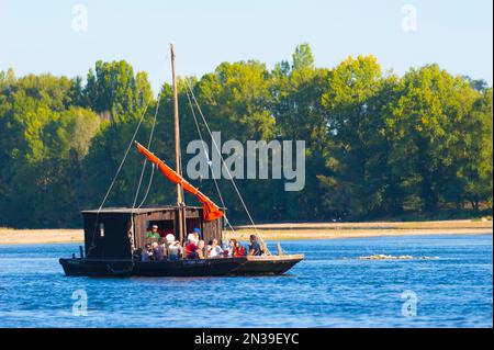 Frankreich, Loiret (45), Orléans, Loire Festival 2019, Toue Cabanée, Traditionelles Flussboot Stockfoto