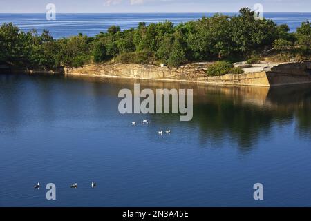 Babson Steinbruch, Heilbutt Point State Park, Rockport, Cape Ann, Massachusetts, USA Stockfoto