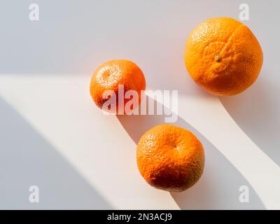 Drei Mandarinen auf weißem Hintergrund. Reife Früchte bei Sonnenlicht. Draufsicht auf leuchtend orangefarbene Zitronen mit diagonalen Schatten. Stockfoto