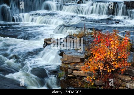 Wasserfälle, Mississippi Fluß, Ahorn, Herbst, Almonte, Ontario, Kanada Stockfoto