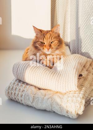 Die niedliche Ingwerkatze liegt auf einem Haufen Strickpullover mit Zopfmuster. Sonnenuntergang im Winter. Flauschiges Haustier auf der Fensterbank mit warmer Kleidung. Stockfoto