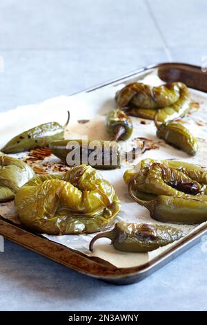 Geröstete grüne Paprika und Jalapenos auf einem Backblech aus Pergamentpapier Stockfoto