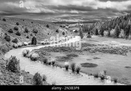 Die Wildnis Von Idaho Stockfoto