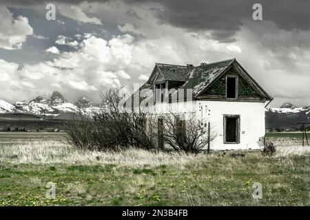 Die Wildnis Von Idaho Stockfoto