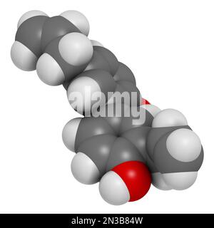 Honokiol-Kräutermolekül, in Magnolien vorhanden. 3D-Rendering. Atome werden als Kugeln mit herkömmlicher Farbcodierung dargestellt: Wasserstoff (weiß), Kohlenstoff Stockfoto