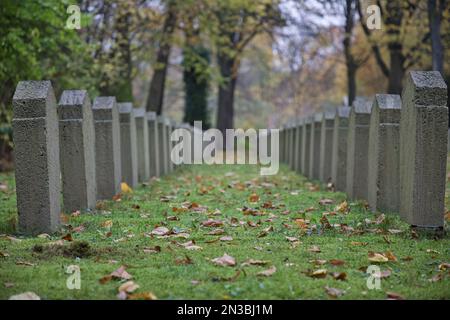 Die Grabsteine gefallener Soldaten von WW2 in einer Gedenkstätte Stockfoto