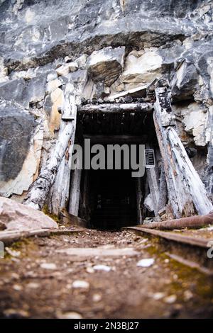 Alte Bahngleise führen in einen verlassenen Minentunnel in die Berge bei Nabesna; Alaska, Vereinigte Staaten von Amerika Stockfoto