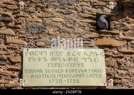 Auf der Festungsmauer steht Kaiser Birhan Seghed Kuregna (Birhan Seghed Kuregna Iyasu Anditegie Mintiwabs Schloss). Stockfoto